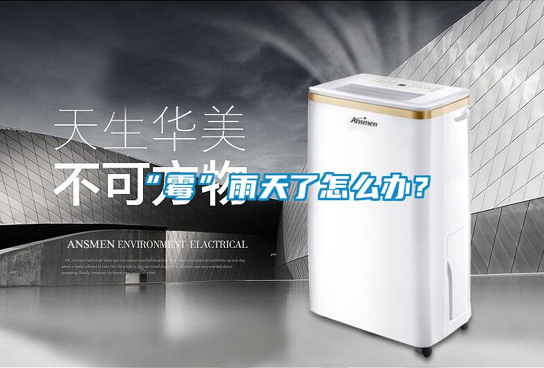 “霉”雨天了怎么辦？