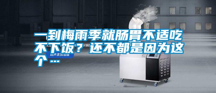 一到梅雨季就腸胃不適吃不下飯？還不都是因為這個…