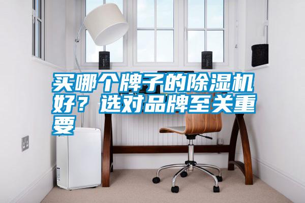 買(mǎi)哪個(gè)牌子的除濕機(jī)好？選對(duì)品牌至關(guān)重要
