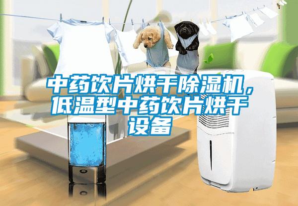 中藥飲片烘干除濕機，低溫型中藥飲片烘干設備