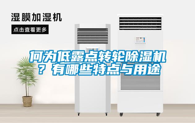 何為低露點(diǎn)轉(zhuǎn)輪除濕機(jī)？有哪些特點(diǎn)與用途