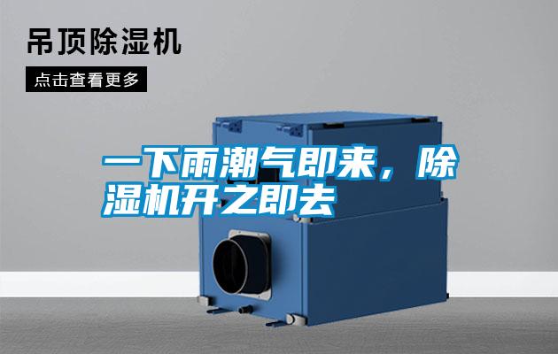 一下雨潮氣即來，除濕機開之即去