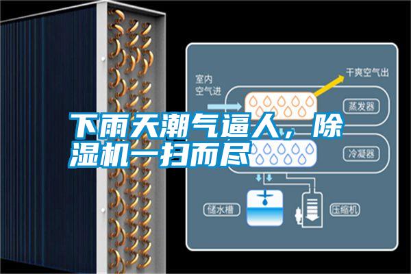 下雨天潮氣逼人，除濕機(jī)一掃而盡