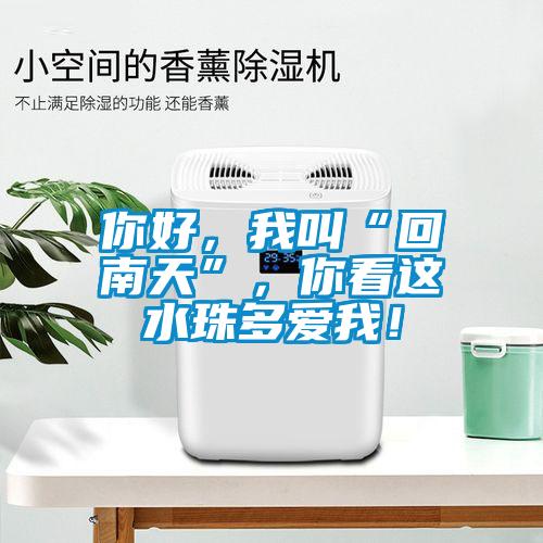 你好，我叫“回南天”，你看這水珠多愛我！