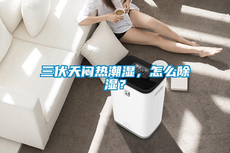 三伏天悶熱潮濕，怎么除濕？
