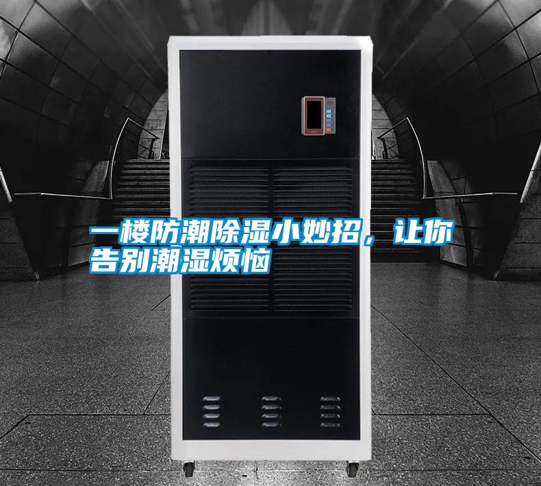 一樓防潮除濕小妙招，讓你告別潮濕煩惱