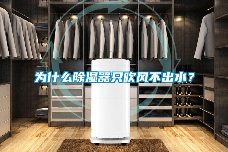 為什么除濕器只吹風(fēng)不出水？