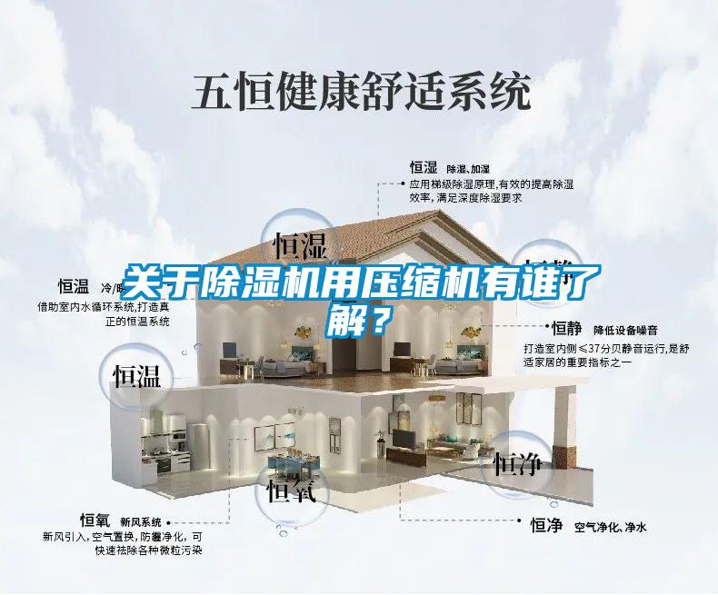 關(guān)于除濕機(jī)用壓縮機(jī)有誰(shuí)了解？