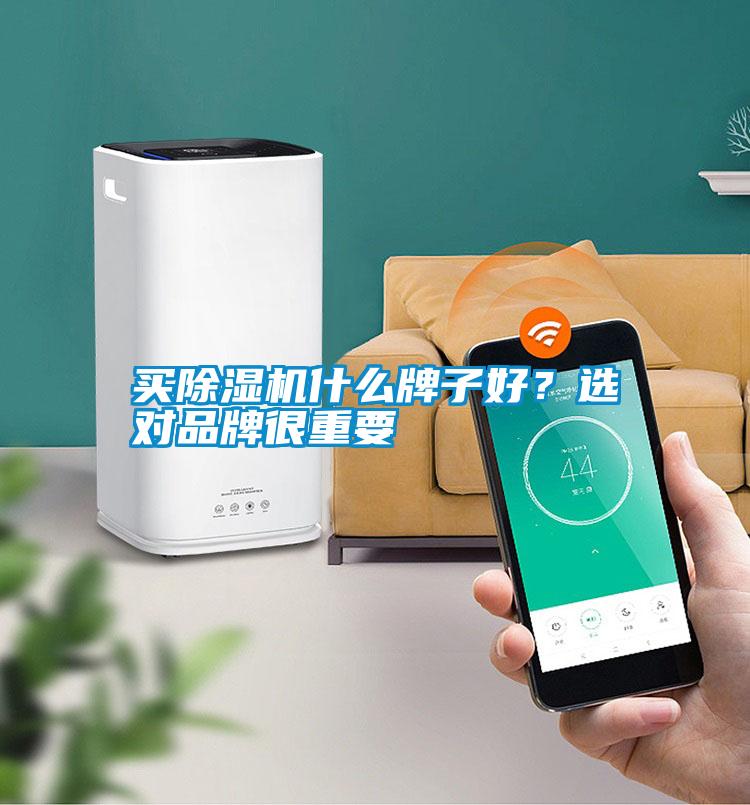 買(mǎi)除濕機(jī)什么牌子好？選對(duì)品牌很重要