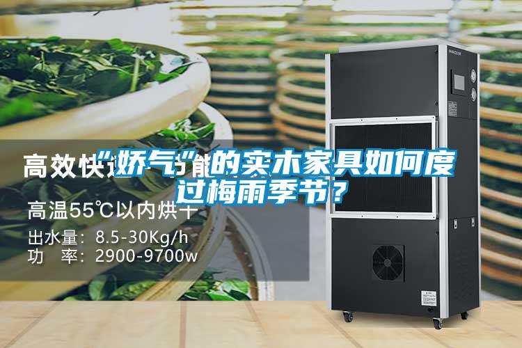 “嬌氣”的實(shí)木家具如何度過梅雨季節(jié)？