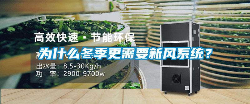 為什么冬季更需要新風(fēng)系統(tǒng)？