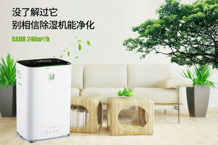 一到回南天狗狗就感冒+皮膚病，怎么辦？