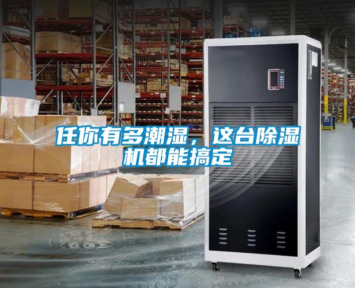 任你有多潮濕，這臺(tái)除濕機(jī)都能搞定