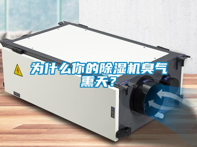 為什么你的除濕機臭氣熏天？