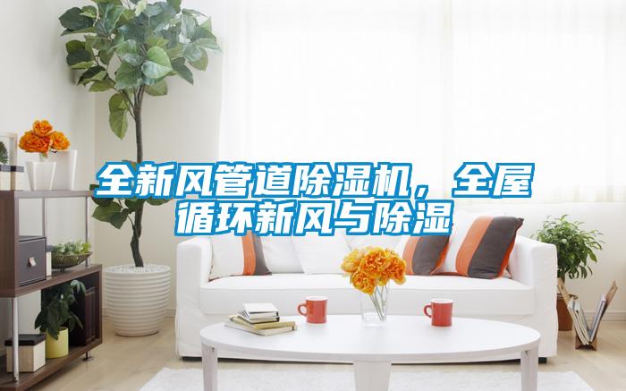 全新風管道除濕機，全屋循環(huán)新風與除濕
