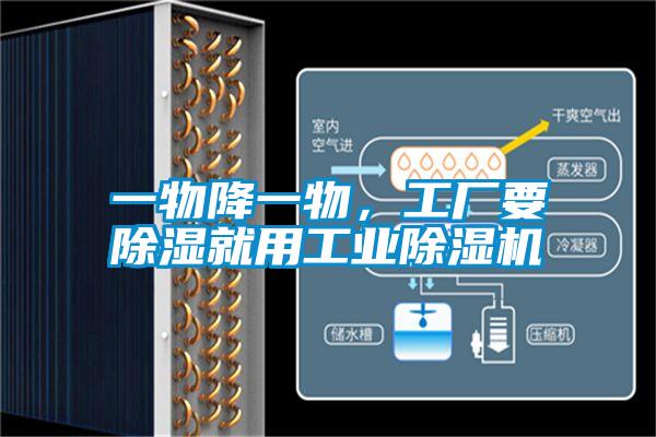一物降一物，工廠要除濕就用工業(yè)除濕機(jī)