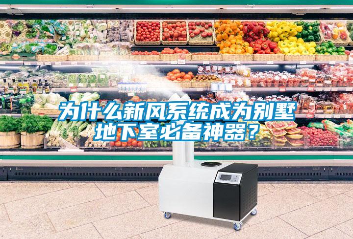 為什么新風(fēng)系統(tǒng)成為別墅地下室必備神器？