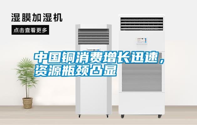 中國銅消費增長迅速，資源瓶頸凸顯