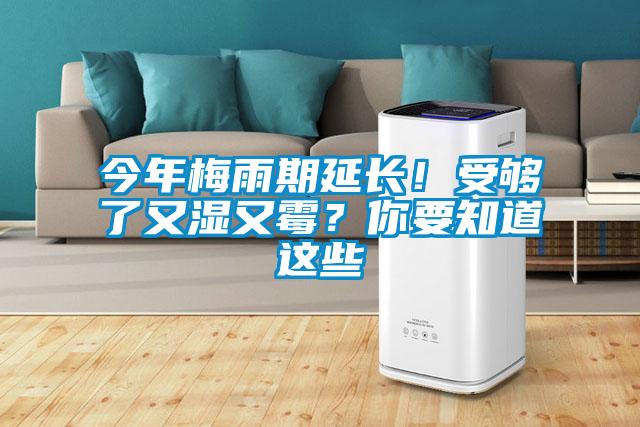 今年梅雨期延長(zhǎng)！受夠了又濕又霉？你要知道這些