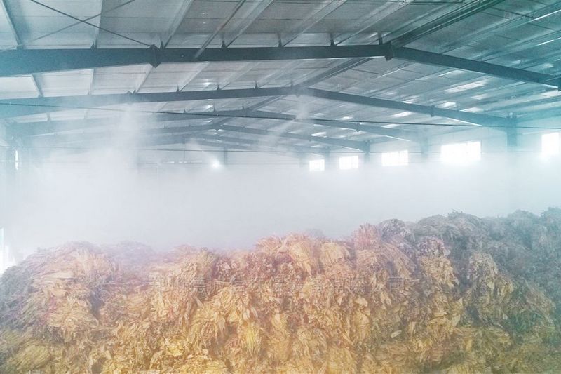 提升煙葉加工質(zhì)量，高效回潮很重要