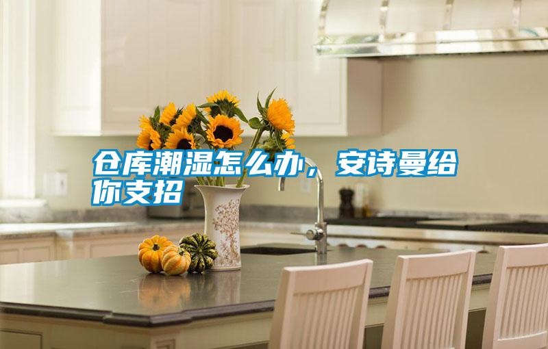倉(cāng)庫(kù)潮濕怎么辦，安詩(shī)曼給你支招