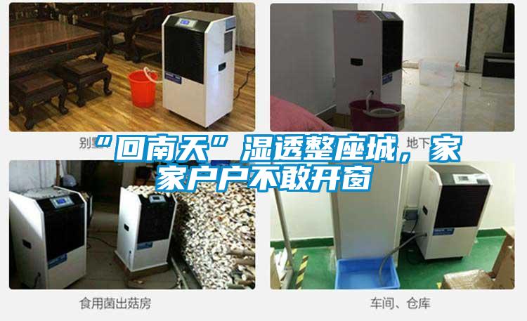 “回南天”濕透整座城，家家戶戶不敢開窗