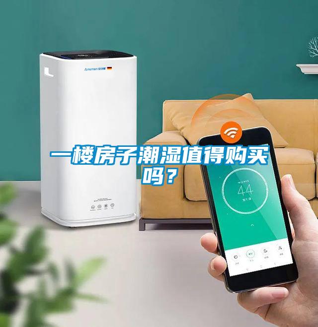 一樓房子潮濕值得購買嗎？