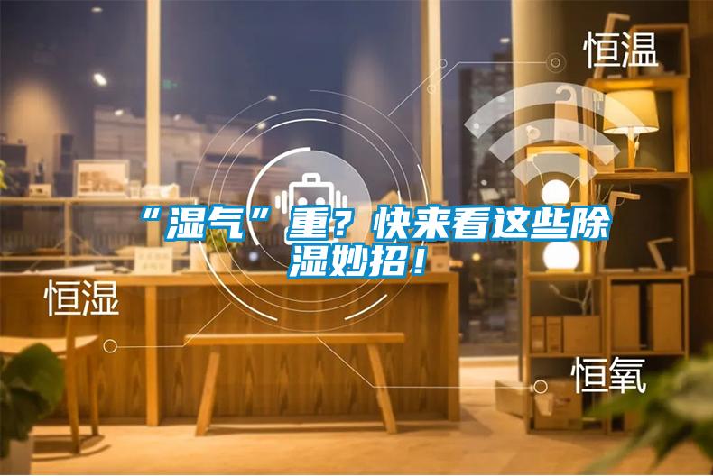 “濕氣”重？快來看這些除濕妙招！