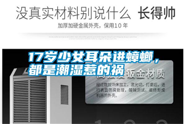 17歲少女耳朵進蟑螂，都是潮濕惹的禍
