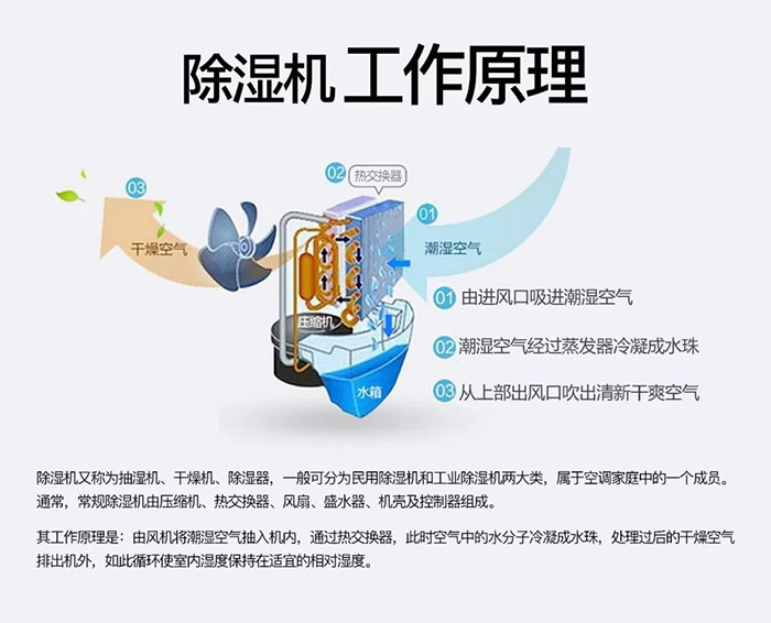 南方梅雨季到了房屋墻壁滲水、返潮怎么辦？