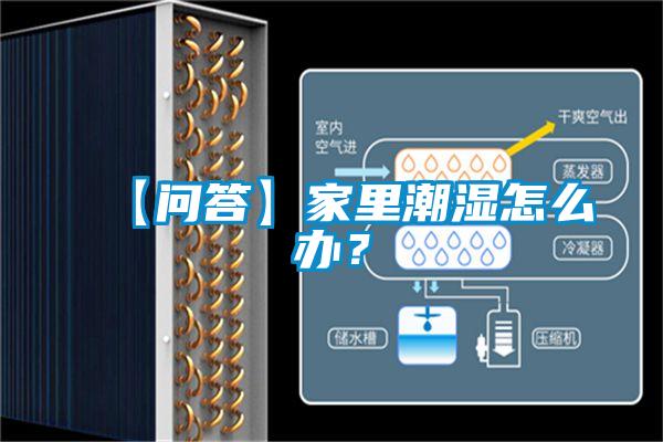 【問(wèn)答】家里潮濕怎么辦？