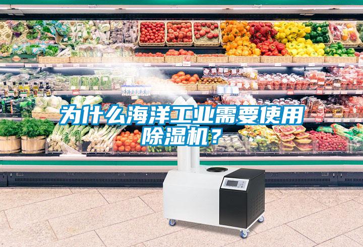 為什么海洋工業(yè)需要使用除濕機(jī)？