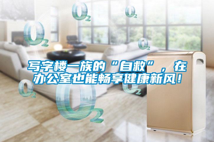寫字樓一族的“自救”，在辦公室也能暢享健康新風(fēng)！