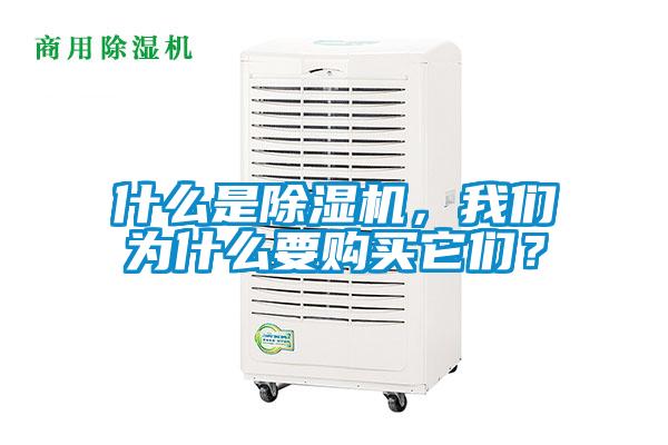 什么是除濕機(jī)，我們?yōu)槭裁匆?gòu)買它們？