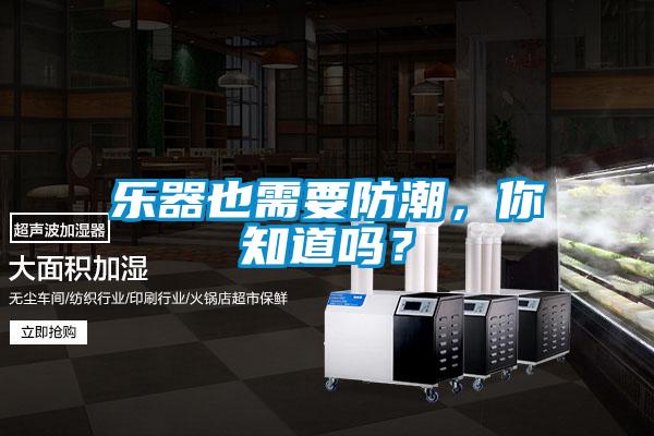 樂器也需要防潮，你知道嗎？