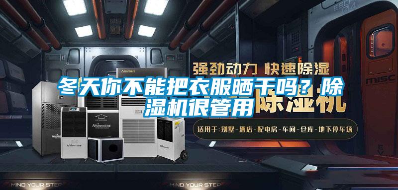 冬天你不能把衣服曬干嗎？除濕機(jī)很管用