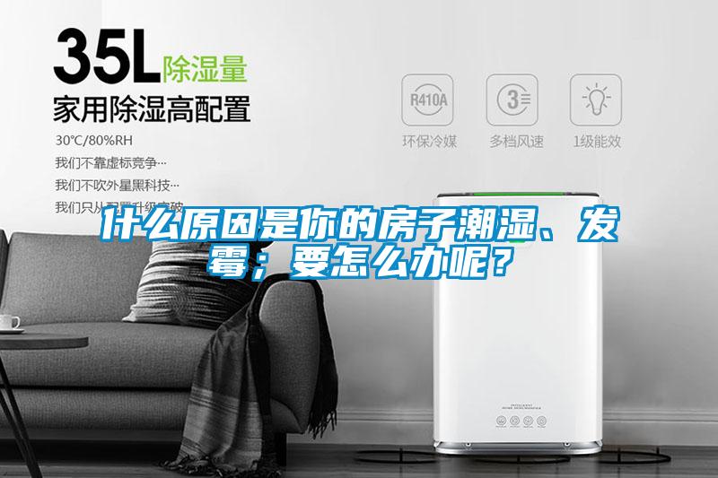 什么原因是你的房子潮濕、發(fā)霉；要怎么辦呢？