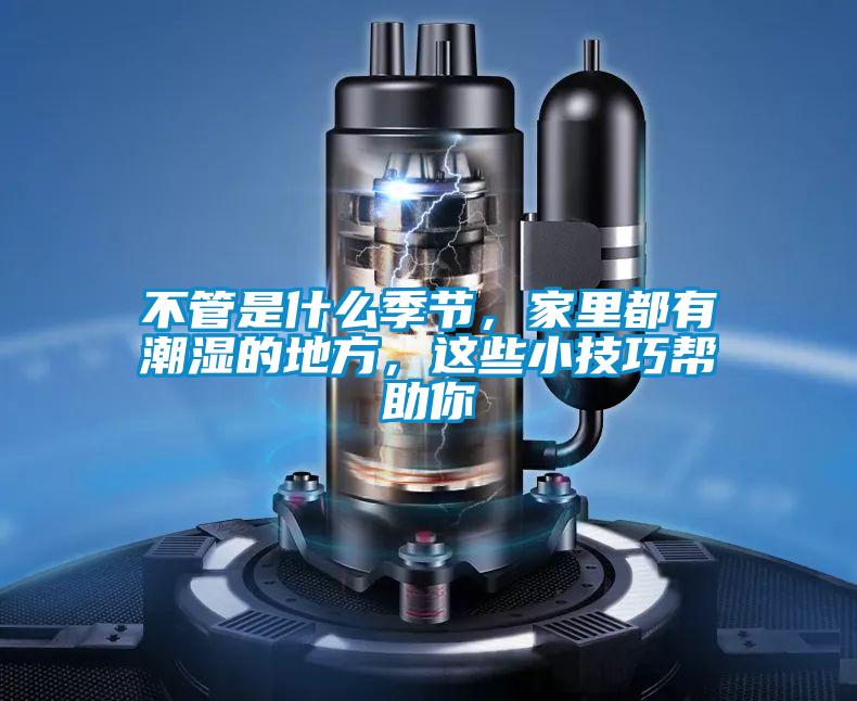 不管是什么季節(jié)，家里都有潮濕的地方，這些小技巧幫助你