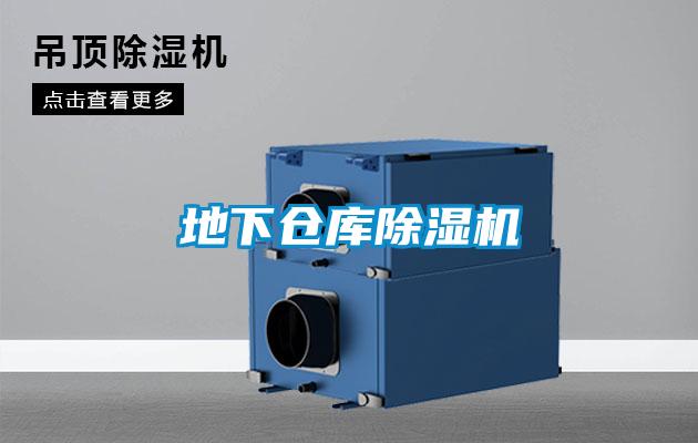 地下倉(cāng)庫除濕機(jī)