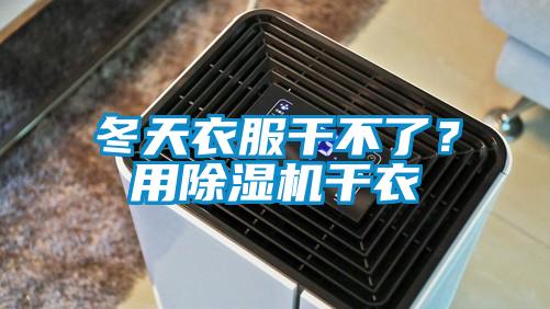 冬天衣服干不了？用除濕機干衣