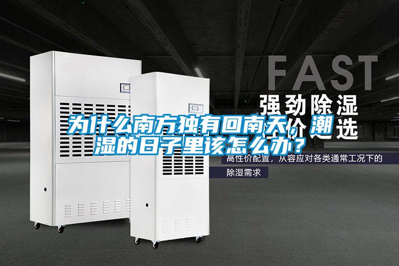 為什么南方獨有回南天，潮濕的日子里該怎么辦？