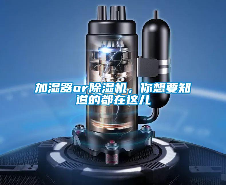 加濕器or除濕機(jī)，你想要知道的都在這兒