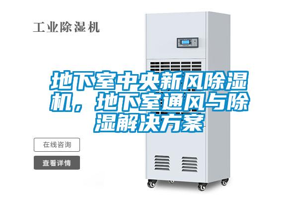 地下室中央新風除濕機，地下室通風與除濕解決方案
