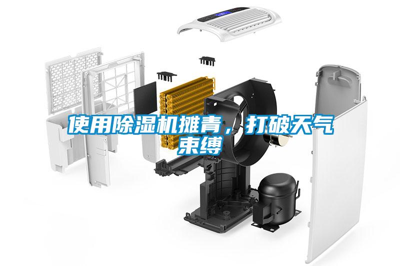 使用除濕機(jī)攤青，打破天氣束縛