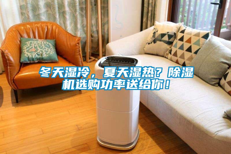 冬天濕冷，夏天濕熱？除濕機選購功率送給你！