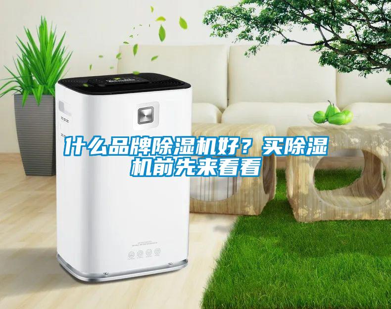 什么品牌除濕機(jī)好？買(mǎi)除濕機(jī)前先來(lái)看看