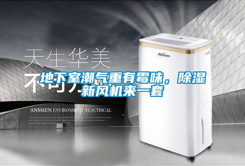 地下室潮氣重有霉味，除濕新風(fēng)機(jī)來一套