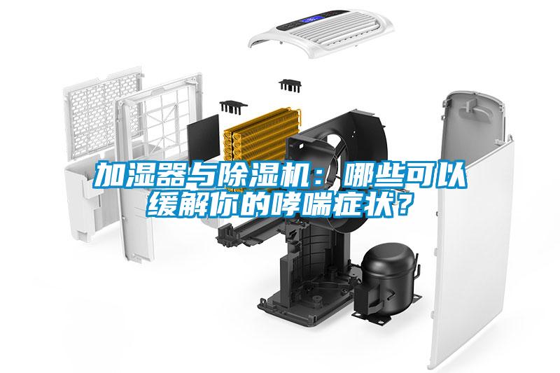 加濕器與除濕機(jī)：哪些可以緩解你的哮喘癥狀？