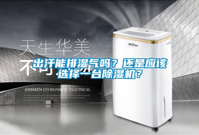 出汗能排濕氣嗎？還是應(yīng)該選擇一臺除濕機(jī)？