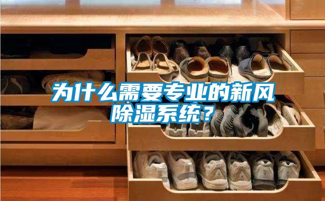 為什么需要專(zhuān)業(yè)的新風(fēng)除濕系統(tǒng)？